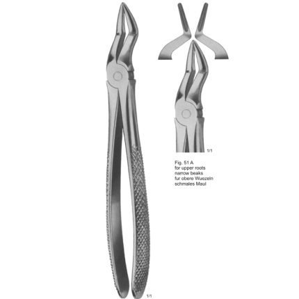 Extracting Forcep English Pattern