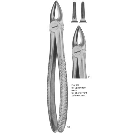 Extracting Forcep English Pattern