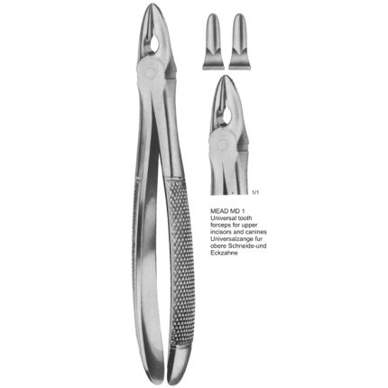Extracting Forcep English Pattern