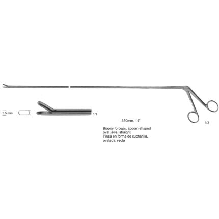 Biopsy Forceps for Rectum